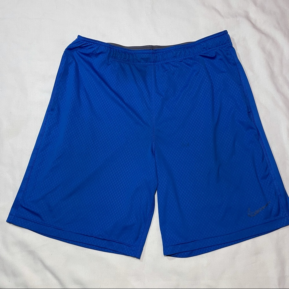 Nike Men’s Dri-Fit Running Workout Shorts Blue: L